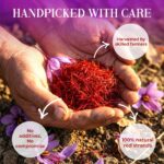 Original Kashmiri Kesar (Mongra Saffron) | Grade A+++ Pure & Lab-Tested - Image 4